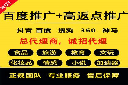 实战解析：SEM推广代运营案例